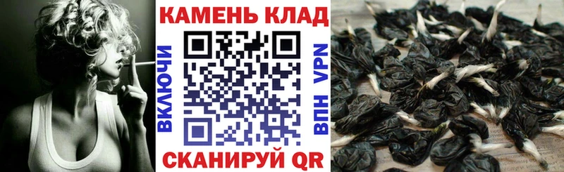 Купить закладки  Сертолово  Гашиш индика сатива 