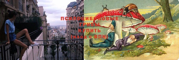 прущие крисы Каменка