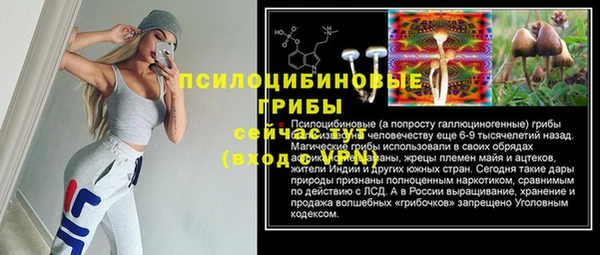 трава Каменногорск