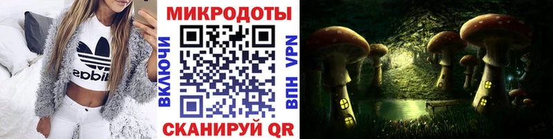 Псилоцибиновые грибы Psilocybe  Купить  Сертолово 